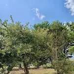 Ikigai 3* Carvalhal (Leiria)