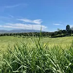Ikigai Carvalhal (Leiria)
