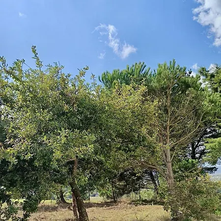 Ikigai 3* Carvalhal (Leiria)