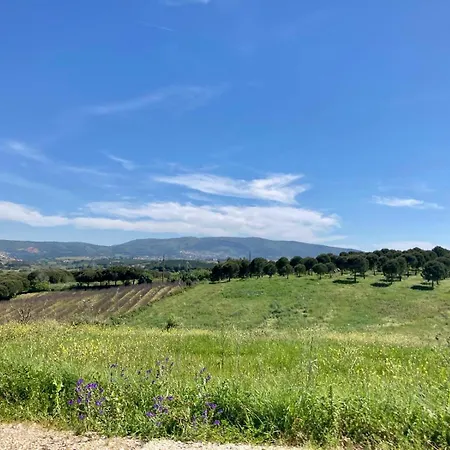 Ikigai فندق مبيت وإفطار Carvalhal (Leiria)