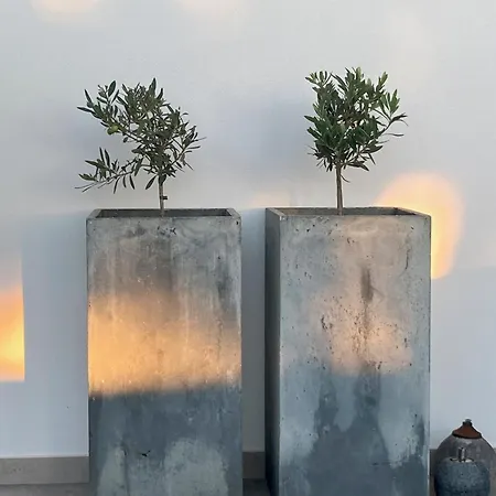 فندق مبيت وإفطار Ikigai 3*