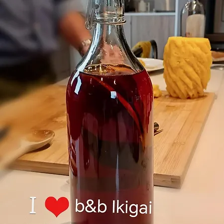 Ikigai * Carvalhal (Leiria)