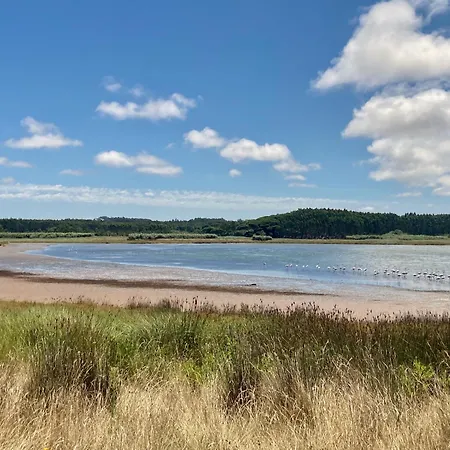 Ikigai Bed and Breakfast Carvalhal (Leiria)