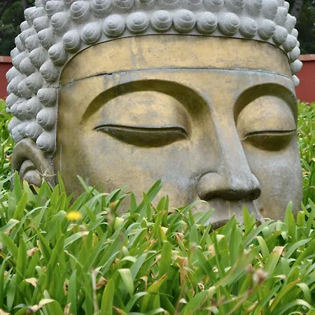 Ikigai 3* Carvalhal (Leiria)