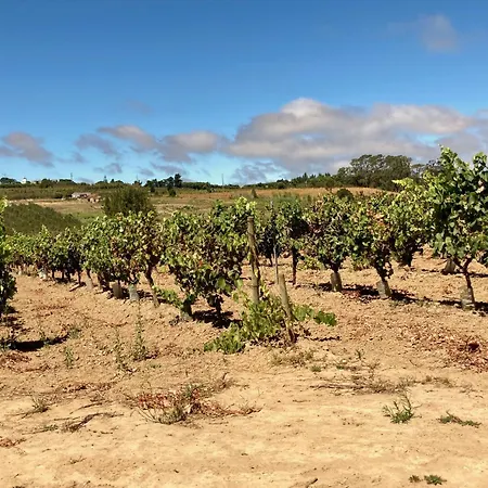 Bed and Breakfast Ikigai 3*