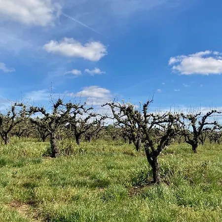 Ikigai 3* Carvalhal (Leiria)