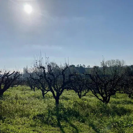 Ikigai Bed and Breakfast 3*