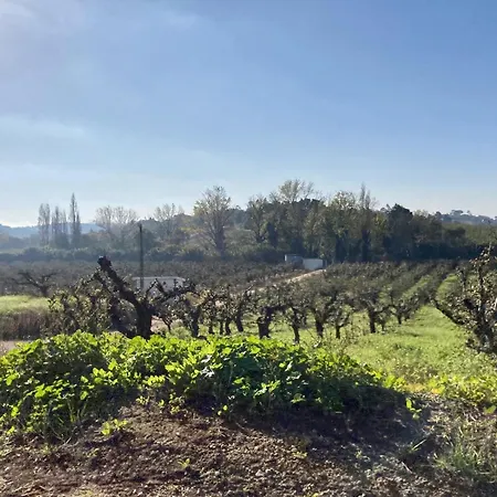 Ikigai فندق مبيت وإفطار Carvalhal (Leiria)