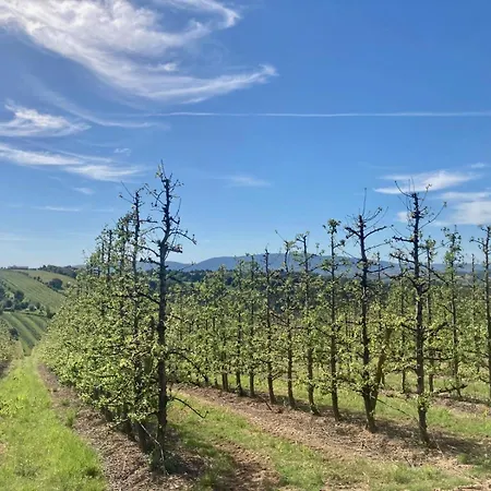 Ikigai فندق مبيت وإفطار Carvalhal (Leiria)