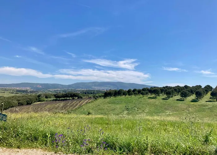 Ikigai Alojamento de Acomodação e Pequeno-almoço Carvalhal (Leiria)