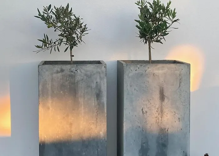 Alojamento de Acomodação e Pequeno-almoço Ikigai 3*