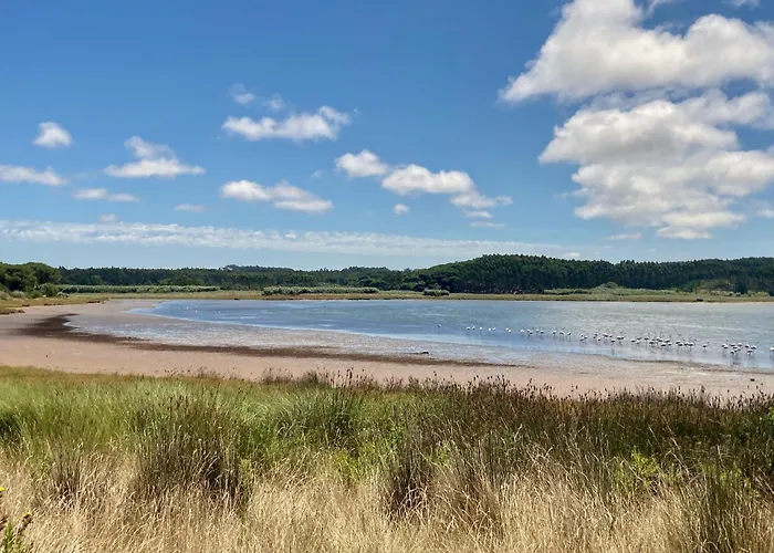 Ikigai Alojamento de Acomodação e Pequeno-almoço Carvalhal (Leiria)