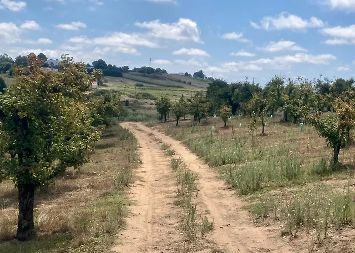 Ikigai Alojamento de Acomodação e Pequeno-almoço 3*