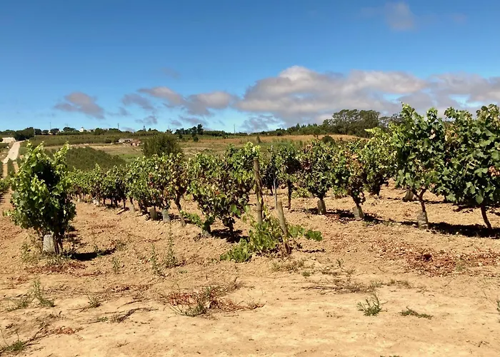 Alojamento de Acomodação e Pequeno-almoço Ikigai 3*