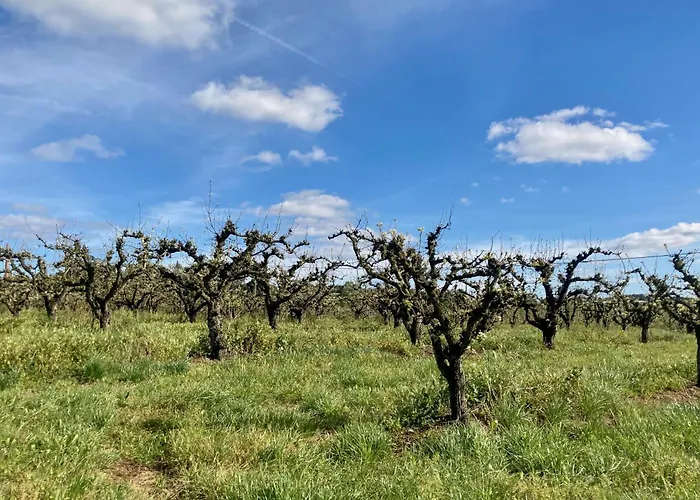 Ikigai 3* Carvalhal (Leiria)