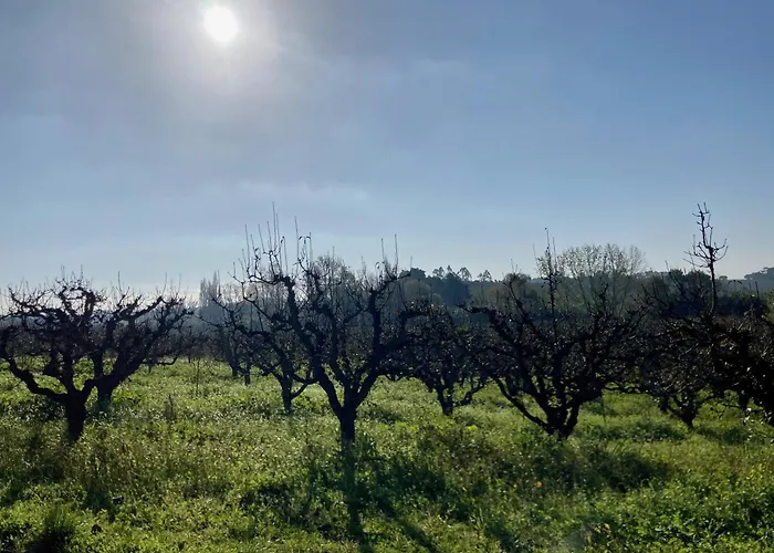 Ikigai Alojamento de Acomodação e Pequeno-almoço 3*