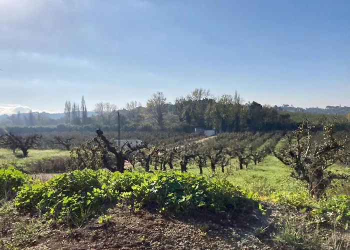 Ikigai Alojamento de Acomodação e Pequeno-almoço Carvalhal (Leiria)