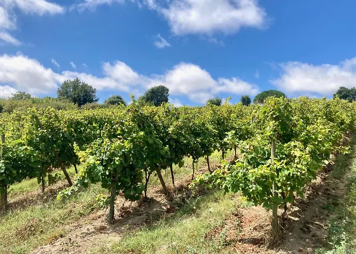 Alojamento de Acomodação e Pequeno-almoço Ikigai