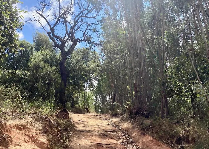 Alojamento de Acomodação e Pequeno-almoço Ikigai 3*