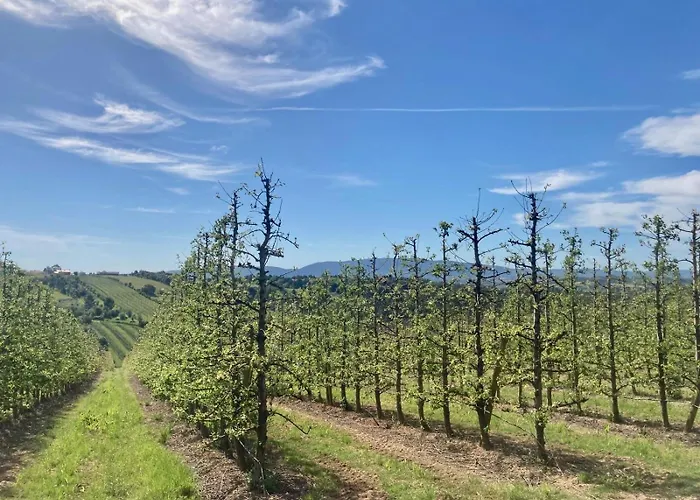 Ikigai Alojamento de Acomodação e Pequeno-almoço Carvalhal (Leiria)