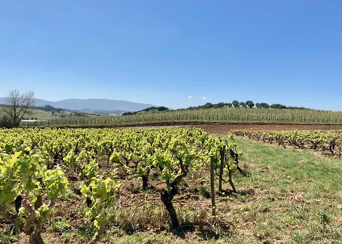 Ikigai Carvalhal (Leiria)