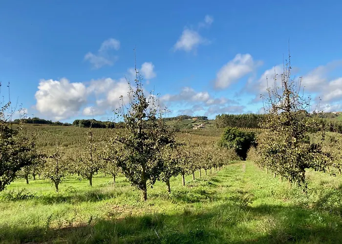 Ikigai 3* Carvalhal (Leiria)